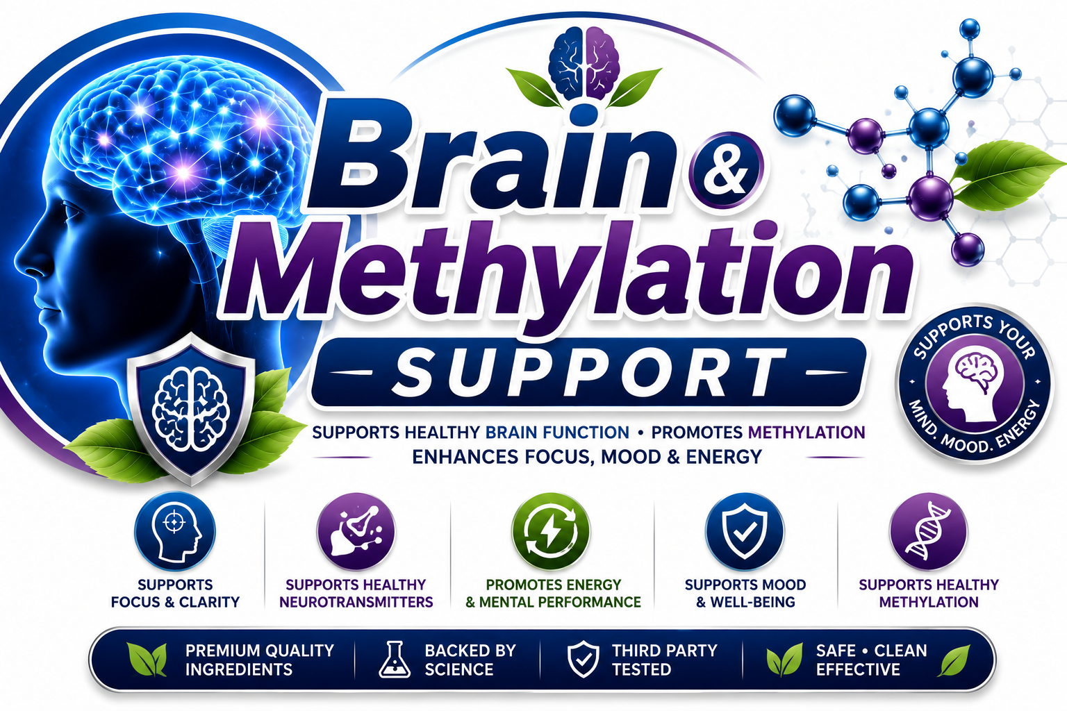 Brain & Methylation Support