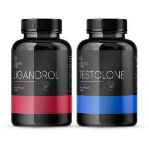 Dexters Labs Beginner Muscle Stack In Pakistan